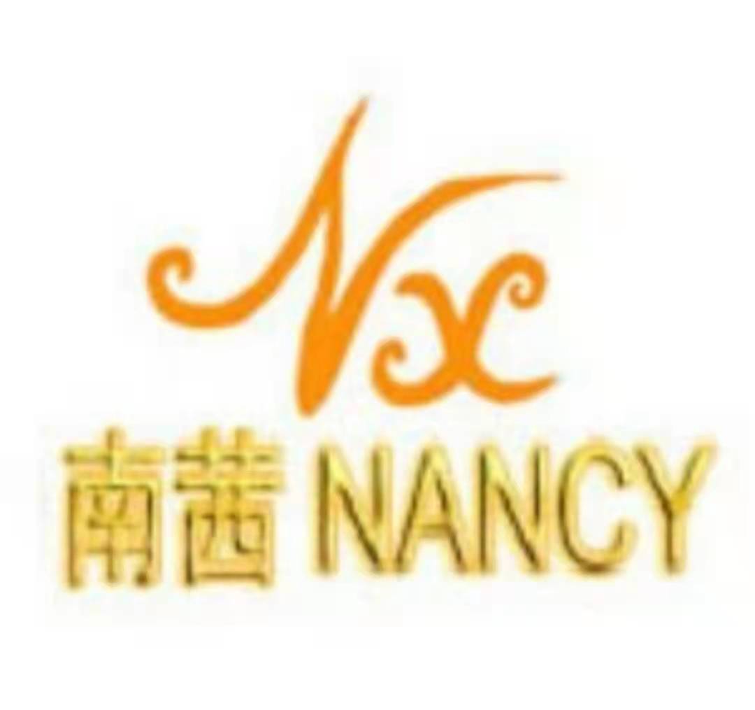 南茜培训学校logo