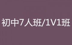 �������7�˰�/1V1��