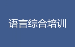新通其他语言详细课程