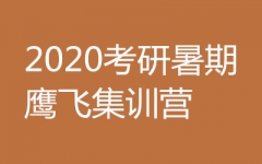 2020��������ӥ��ѵ��Ӫ--�Ķ�