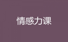 情感力课--雨林