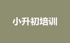 С������ѵ