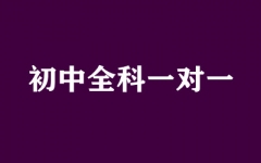 ����ȫ��һ��һ