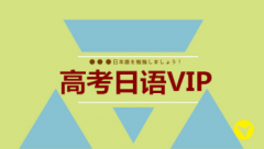 �߿�����VIP