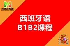 ���������м�B1����Ʒ��
