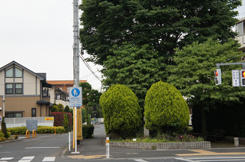 ����ͼ