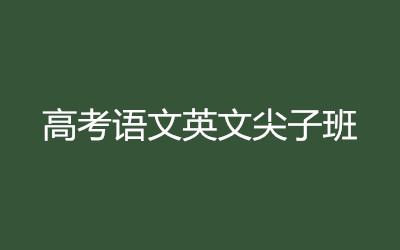 ����ȫ�꼯ѵӪ