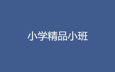 ����ȫ�꼯ѵӪ