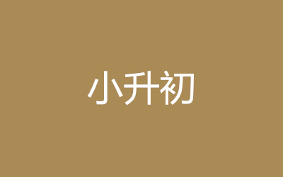 ����ȫ�꼯ѵӪ