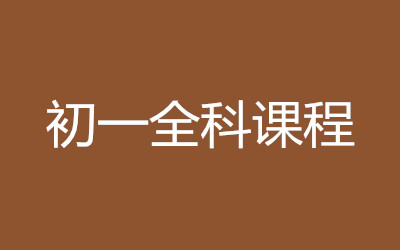 ����ȫ�꼯ѵӪ