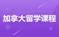 ����ȫ�꼯ѵӪ