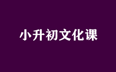����ȫ�꼯ѵӪ