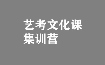 ����ȫ�꼯ѵӪ