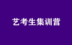 ����ȫ�꼯ѵӪ