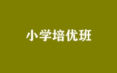 ����ȫ�꼯ѵӪ
