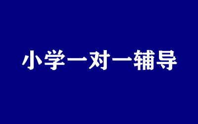 ����ȫ�꼯ѵӪ