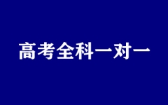 ����ȫ�꼯ѵӪ