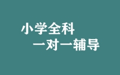 ����ȫ�꼯ѵӪ
