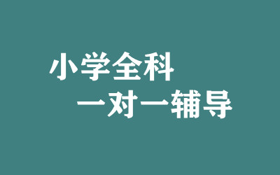 ����ȫ�꼯ѵӪ