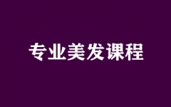 ����ȫ�꼯ѵӪ