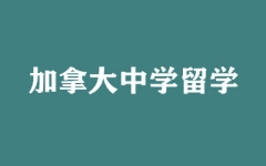 ����ȫ�꼯ѵӪ