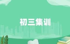 ����ȫ�꼯ѵӪ